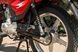 Мотоцикл SKYMOTO BIRD 150 NEW (RANGER) MOT-341 фото 16