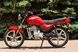 Мотоцикл SKYMOTO BIRD 150 NEW (RANGER) MOT-341 фото 6
