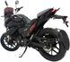 Мотоцикл Lifan KPT250 (ABS и TCS) MOT-522 фото 16