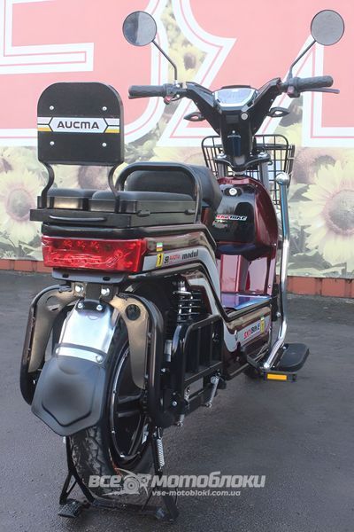 Електровелосипед Skybike MODUL AUCMA ELV-004 фото
