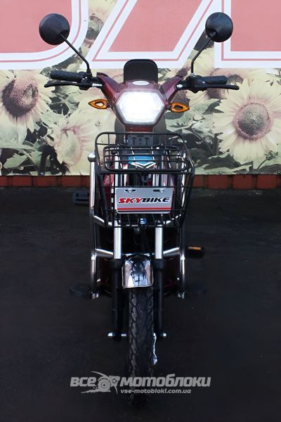 Електровелосипед Skybike MODUL AUCMA ELV-004 фото