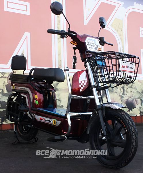 Електровелосипед Skybike MODUL AUCMA ELV-004 фото