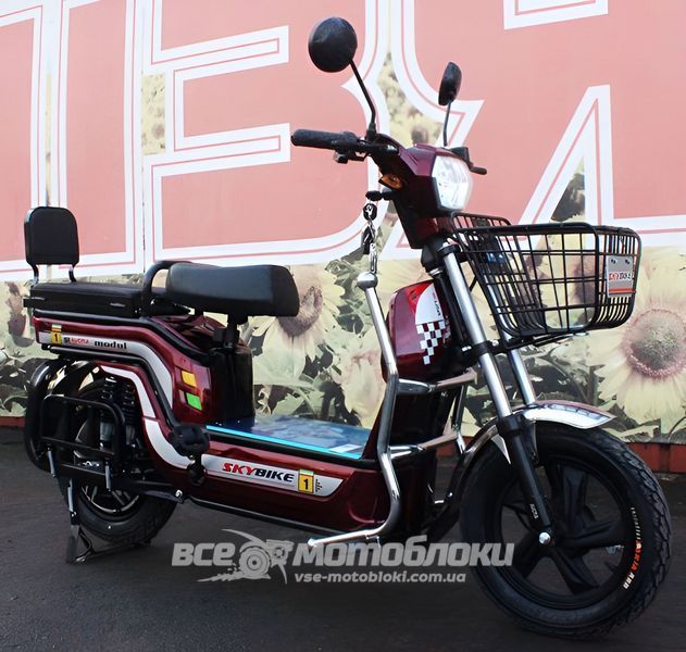 Електровелосипед Skybike MODUL AUCMA ELV-004 фото