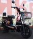 Електровелосипед Skybike MODUL AUCMA ELV-004 фото 3