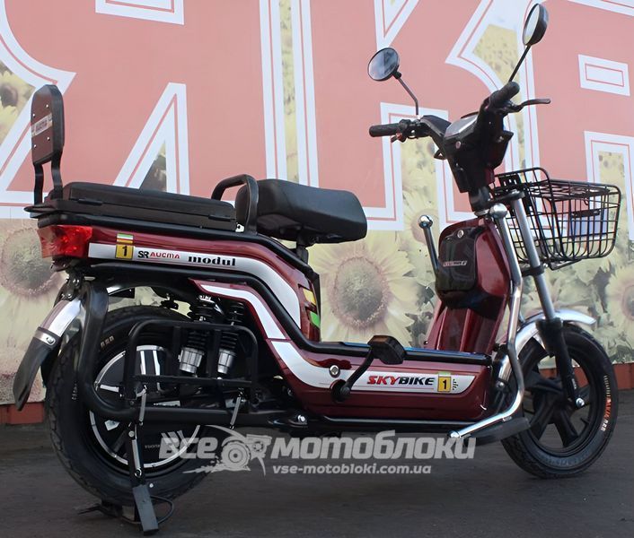 Електровелосипед Skybike MODUL AUCMA ELV-004 фото