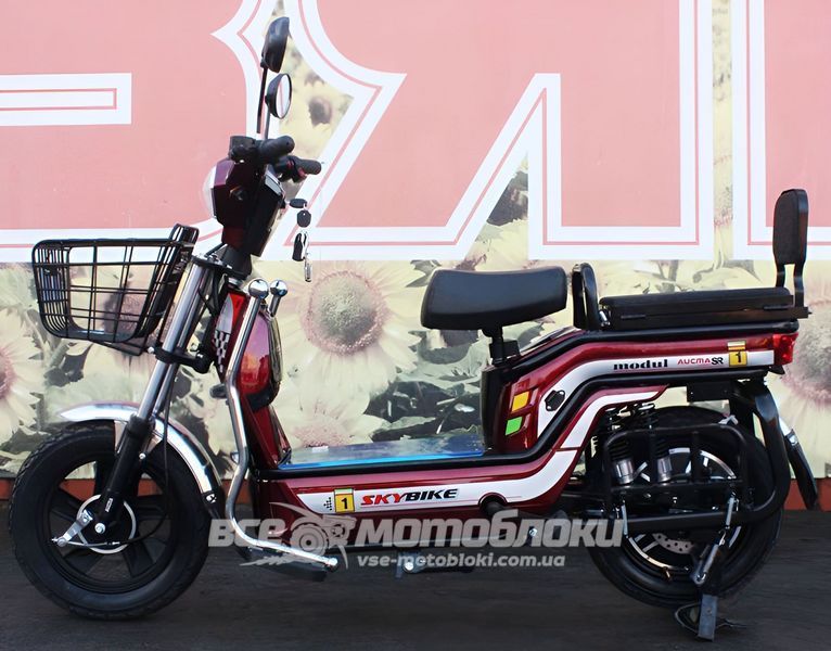 Електровелосипед Skybike MODUL AUCMA ELV-004 фото