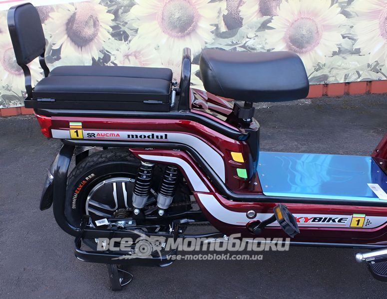 Електровелосипед Skybike MODUL AUCMA ELV-004 фото
