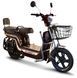 Електровелосипед Skybike MODUL AUCMA ELV-004 фото 1