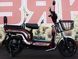 Електровелосипед Skybike MODUL AUCMA ELV-004 фото 10