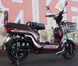 Електровелосипед Skybike MODUL AUCMA ELV-004 фото 9
