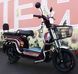 Електровелосипед Skybike MODUL AUCMA ELV-004 фото 2