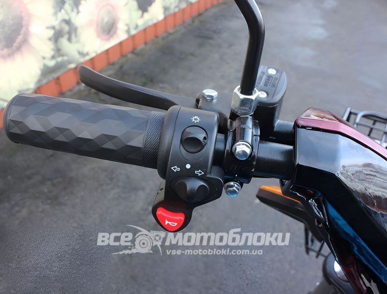 Електровелосипед Skybike MODUL AUCMA ELV-004 фото