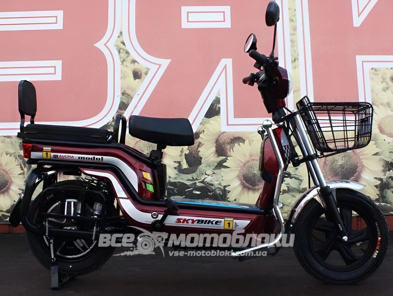 Електровелосипед Skybike MODUL AUCMA ELV-004 фото