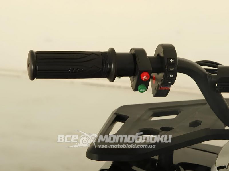 Электроквадроцикл FORTE FFA1000 ELK-042 фото