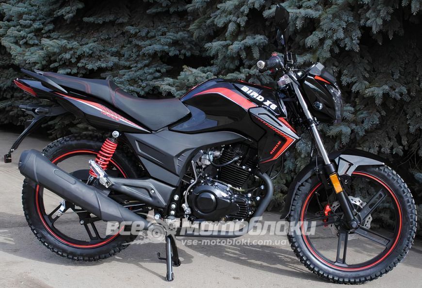 Мотоцикл SKYMOTO BIRD X6 150 MOT-278 фото