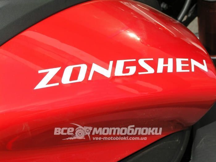 Мотоцикл ZONGSHEN ZS250GS-3A MOT-381 фото