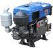 Двигун ТАТА ZS1125NML (Ел. Старт) DE-010 фото 2