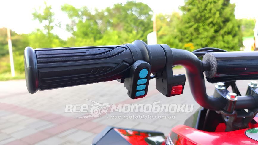 Електроквадроцикл FORTE ATV1200QB ELK-039 фото