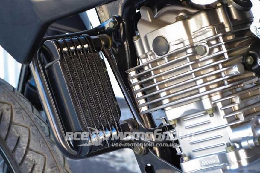 Мотоцикл SKYMOTO DRAGON II 200 2019Г MOT-279 фото