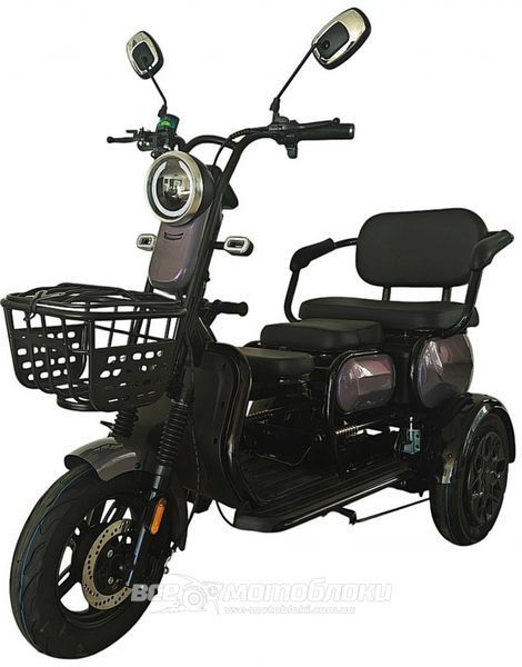Електроскутер Rogi CARGO 800W ELS-145 фото