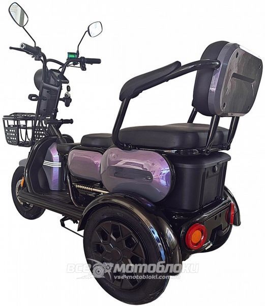 Електроскутер Rogi CARGO 800W ELS-145 фото