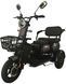 Електроскутер Rogi CARGO 800W ELS-145 фото 2