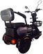 Електроскутер Rogi CARGO 800W ELS-145 фото 6
