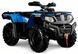 Квадроцикл HISUN FORGE 250 KVD-037 фото 1