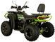 Квадроцикл FORTE AFC250 PRO KVD-303 фото 5
