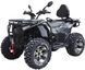 Квадроцикл SPARK APEX 250SE KVD-397 фото 3