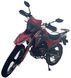 Мотоцикл FORTE FT300GY-C5J MOT-518 фото 9
