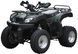 Квадроцикл SHINERAY HARDY 200U KVD-088 фото 2
