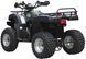 Квадроцикл SHINERAY HARDY 200U KVD-088 фото 3
