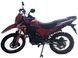 Мотоцикл FORTE FT300GY-C5J MOT-518 фото 8