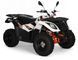 Квадроцикл KAYO BULL AU300 KVD-239 фото 1