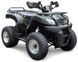 Квадроцикл SHINERAY HARDY 200U KVD-088 фото 1