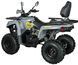 Квадроцикл MIKILON HAMMER 200L (U38) KVD-304 фото 3