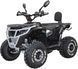 Квадроцикл SPARK APEX 150 KVD-398 фото 3