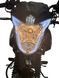 Мотоцикл SPARK SP150R-15 MOT-434 фото 13