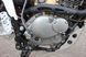 Мотоцикл SKYMOTO MATADOR II 250 MOT-282 фото 15