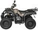 Квадроцикл SHINERAY ROVER 250 KVD-089 фото 4