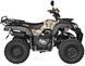 Квадроцикл SHINERAY ROVER 250 KVD-089 фото 9