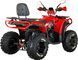 Квадроцикл SPARK SP200-5Е (2026) KVD-399 фото 7