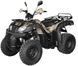 Квадроцикл SHINERAY ROVER 250 KVD-089 фото 3