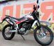 Мотоцикл SKYMOTO MATADOR II 250 MOT-282 фото 9
