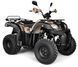 Квадроцикл SHINERAY ROVER 250 KVD-089 фото 1