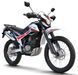 Мотоцикл SKYMOTO MATADOR II 250 MOT-282 фото 1