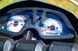 Мотоцикл SKYMOTO DRAGON 250 MOT-283 фото 12