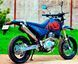 Мотоцикл SKYMOTO DRAGON 250 MOT-283 фото 8