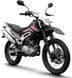 Мотоцикл SKYMOTO RIDER 250 MOT-284 фото 1